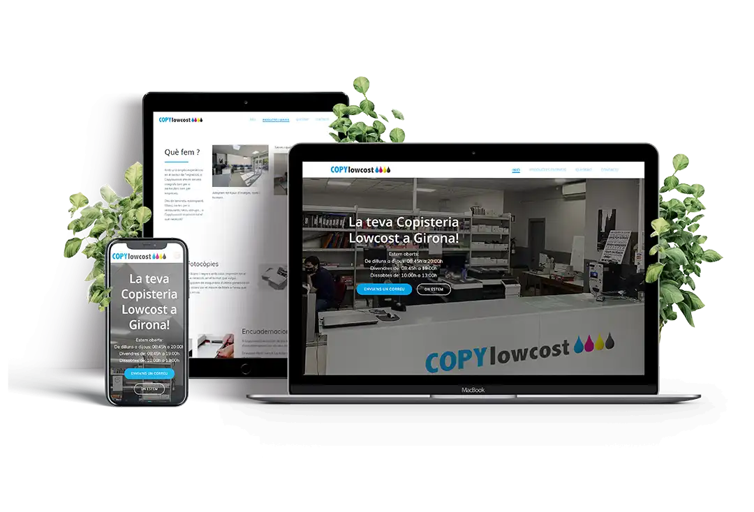 diseño de pagina web responsive