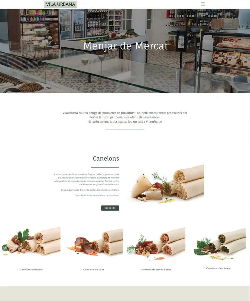 Diseño paginas web girona